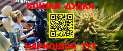 spice Сланцы
